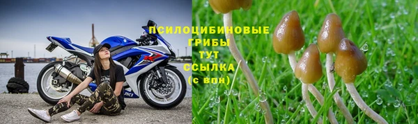 мяу мяу кристалл Армянск