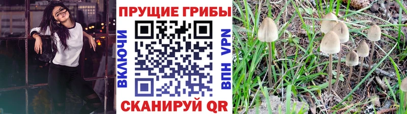 Галлюциногенные грибы ЛСД  даркнет сайт  Покровск 
